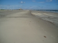 mui01slne-060914.JPG